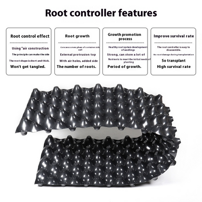 Contrôleur de Racines pour les Plantes et L' Aménagement Paysager pour Favoriser une Croissance Saine