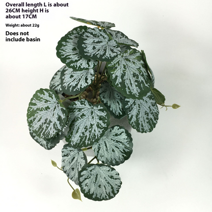 Plante Artificielle Suspendue Pour Une Décoration Naturelle À L' Intérieur Et À L' Extérieur