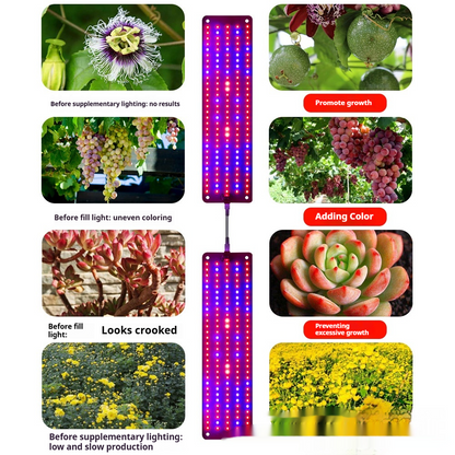 Panneau D' Éclairage Led Quantum pour Plantes pour la Croissance et la Stimulation des Couleurs - avec Mode D' Éclairage Réglable