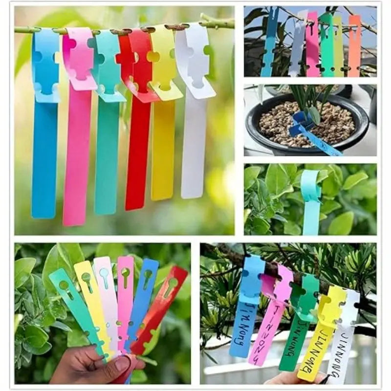 Étiquettes Végétales Réutilisables en Plastique pour le Jardin et le Marquage des Arbres