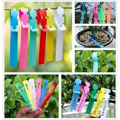 Étiquettes Végétales Réutilisables en Plastique pour le Jardin et le Marquage des Arbres