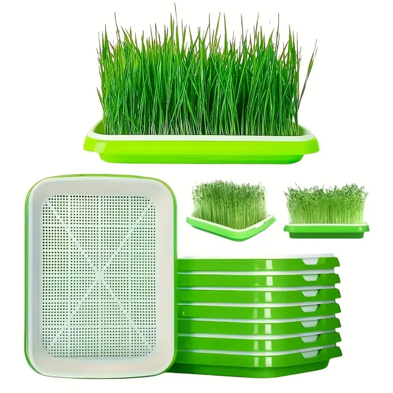 Boîtes De Germination Avec Couvercle - Plateau De Graines À Double Couche Pour Une Germination Efficace Des Graines