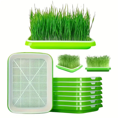 Boîtes De Germination Avec Couvercle - Plateau De Graines À Double Couche Pour Une Germination Efficace Des Graines