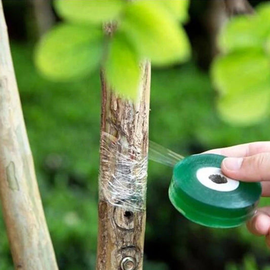 Bande de Greffage pour Plantes - Bande de Greffage Autocollante pour la Taille des Arbres et le Greffage