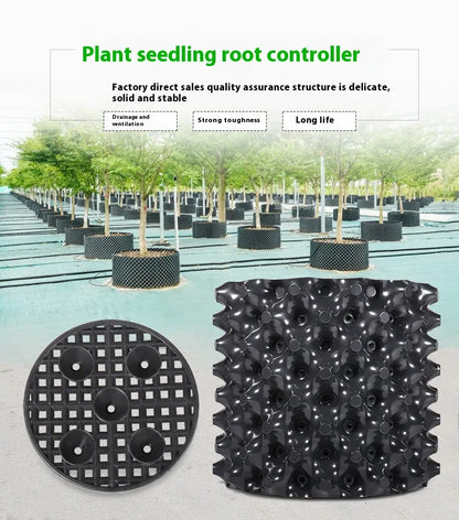 Contrôleur de Racines pour les Plantes et L' Aménagement Paysager pour Favoriser une Croissance Saine