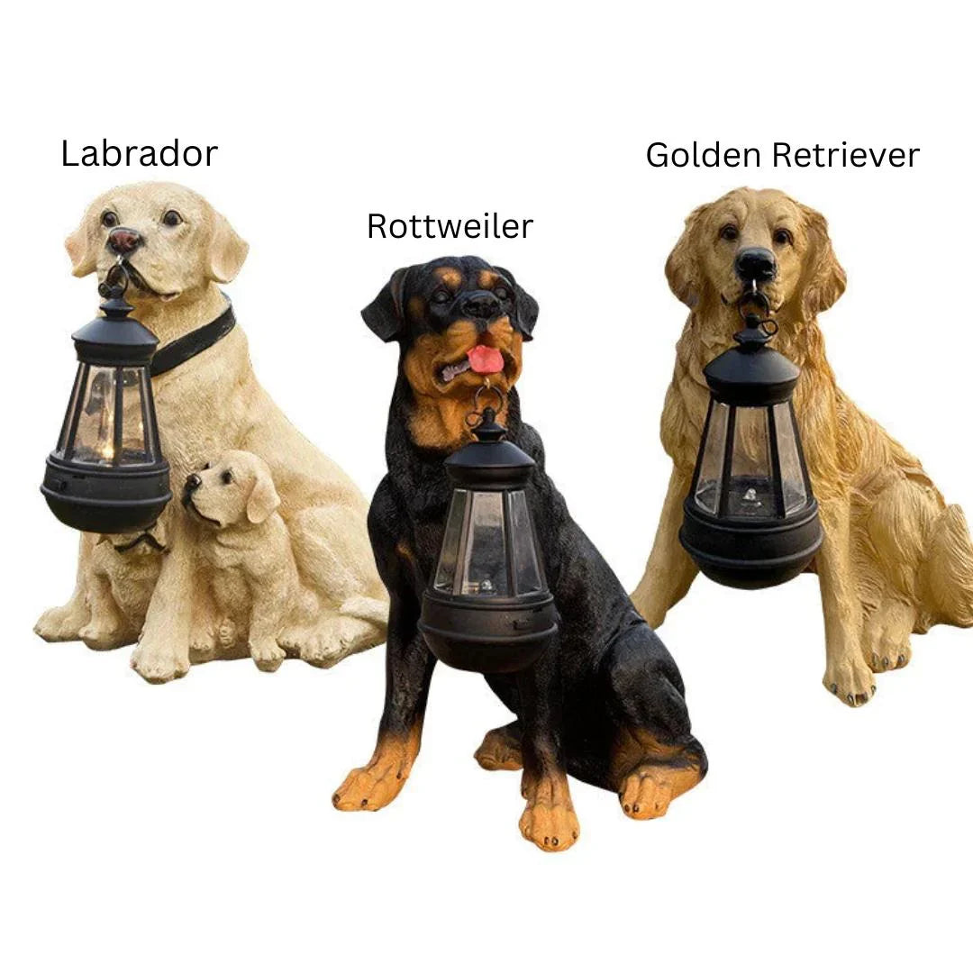 Figurine De Chien Solaire À Led Pour Le Jardin