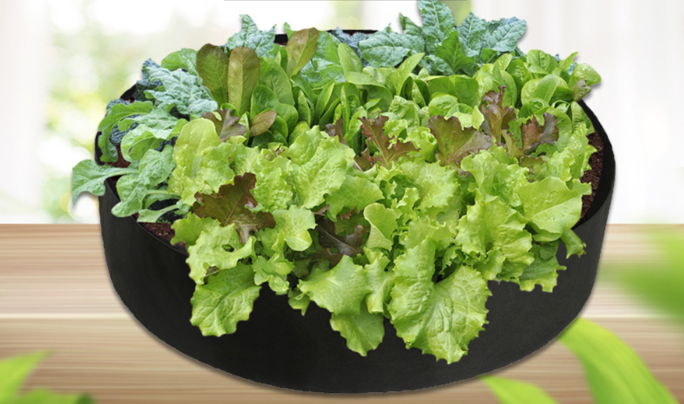 Sachet Rond pour la Croissance des Plantes - Conteneur de Jardinage pour une Croissance Facile des Plantes