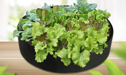 Sachet Rond pour la Croissance des Plantes - Conteneur de Jardinage pour une Croissance Facile des Plantes