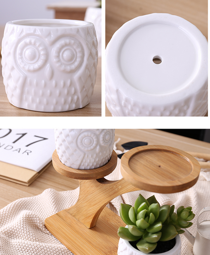 Porte-plantes Décoratif en Bois - Pots à Plantes au Design de Hibou pour Succulentes et Plantes D' Intérieur
