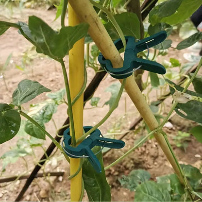 Set de Clips de Jardinage - Boucles de Plantes pour le Soutien des Plantes et L' Entretien du Jardin