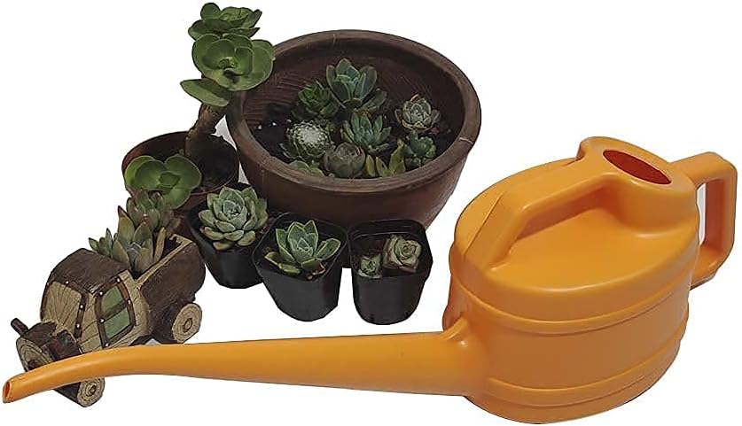 Arrosoir À Long Bec Pour Un Arrosage Précis Et Facile