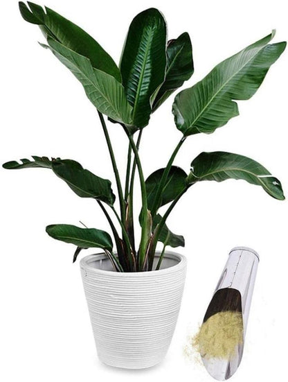 Pelle en Acier Inoxydable pour Terreau - Pelle à Plantes Robuste pour le Jardin et le Balcon