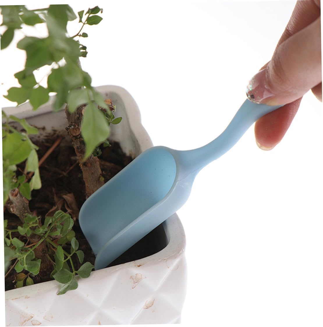 Set Combiné D' Outils pour Planter les Plantes Succulentes - Set Pratique pour L' Entretien et la Plantation