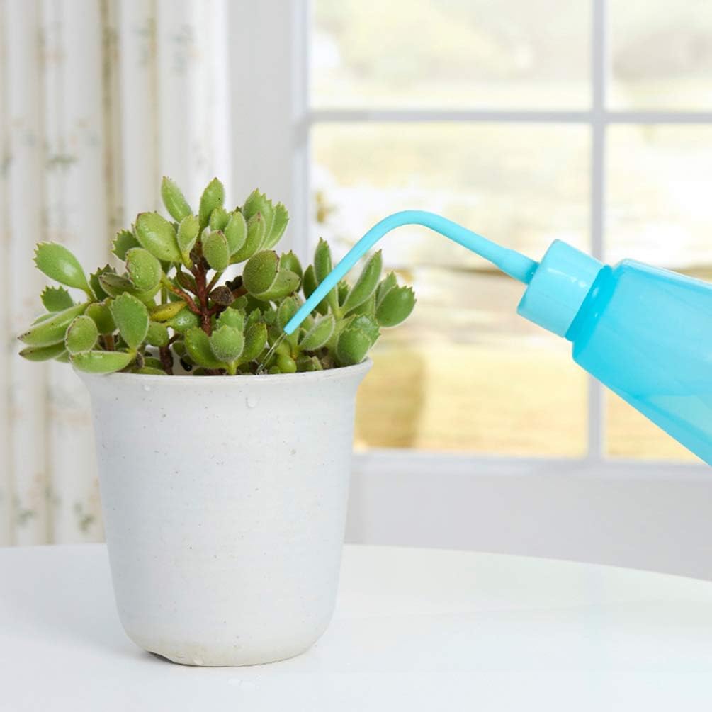 Kit D' Outils pour le Jardin de Succulentes avec Vaporisateur et Accessoires