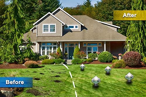 Chasseur D' Animaux à Énergie Solaire pour le Jardin et la Cour - Protection Écologique contre les Souris et les Rongeurs