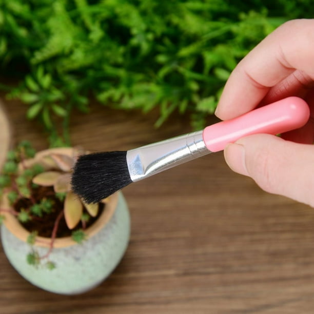 Set Combiné D' Outils pour Planter les Plantes Succulentes - Set Pratique pour L' Entretien et la Plantation