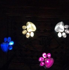 Lampe Solaire Au Design D' Empreinte De Patte - Éclairage De Jardin Led Multicolore Pour L' Extérieur
