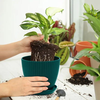 Pot De Fleurs Avec Structure Rainurée Et Soucoupe - Pot En Plastique Solide Pour Les Plantes