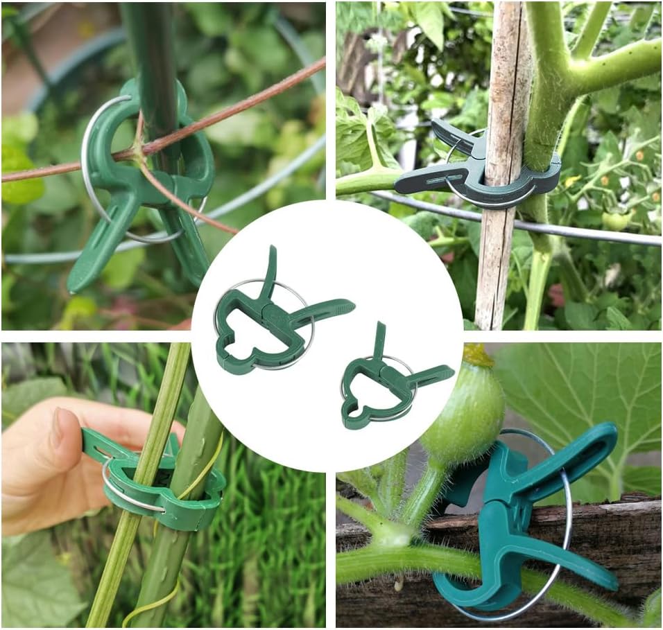 Set de Clips de Jardinage - Boucles de Plantes pour le Soutien des Plantes et L' Entretien du Jardin