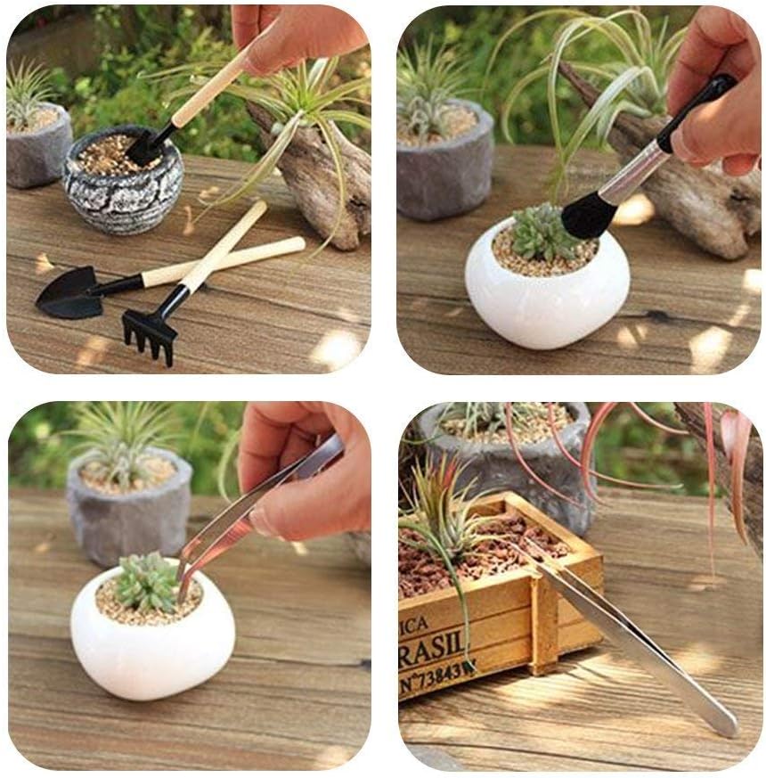 Kit D' Outils pour le Jardin de Succulentes avec Vaporisateur et Accessoires