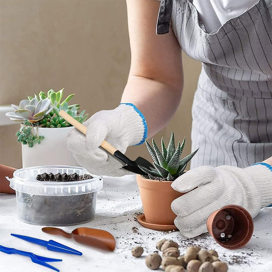 Kit D' Outils pour le Jardin de Succulentes avec Vaporisateur et Accessoires