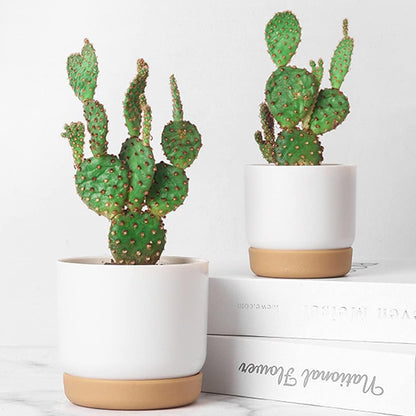 Pot De Fleurs Auto-arrosant Pour Orchidées Et Plantes - Pot De Plantes En Plastique