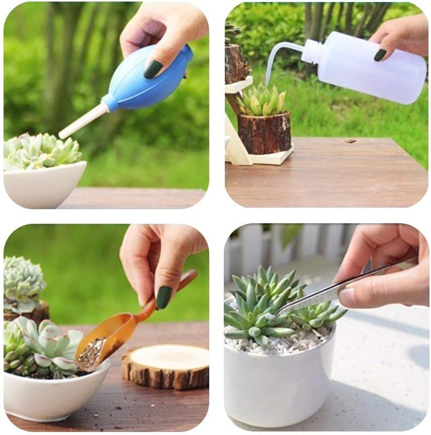 Kit D' Outils pour le Jardin de Succulentes avec Vaporisateur et Accessoires
