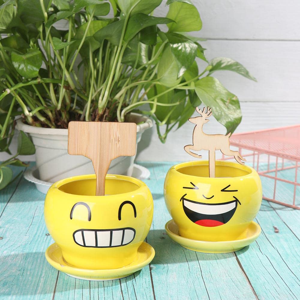 Etiquettes de Plantes en Bois pour le Jardin et le Balcon - Etiquettes Réinscriptibles pour les Herbes et les Plantes