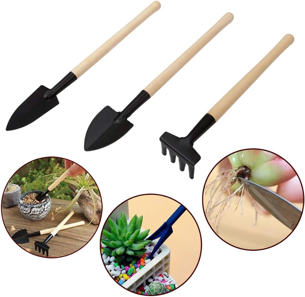 Kit D' Outils pour le Jardin de Succulentes avec Vaporisateur et Accessoires