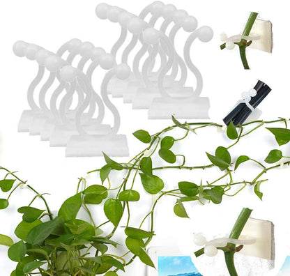 Clips De Fixation Pour Mur Grimpant - Supports Pratiques Pour Plantes Pour Décoration Murale