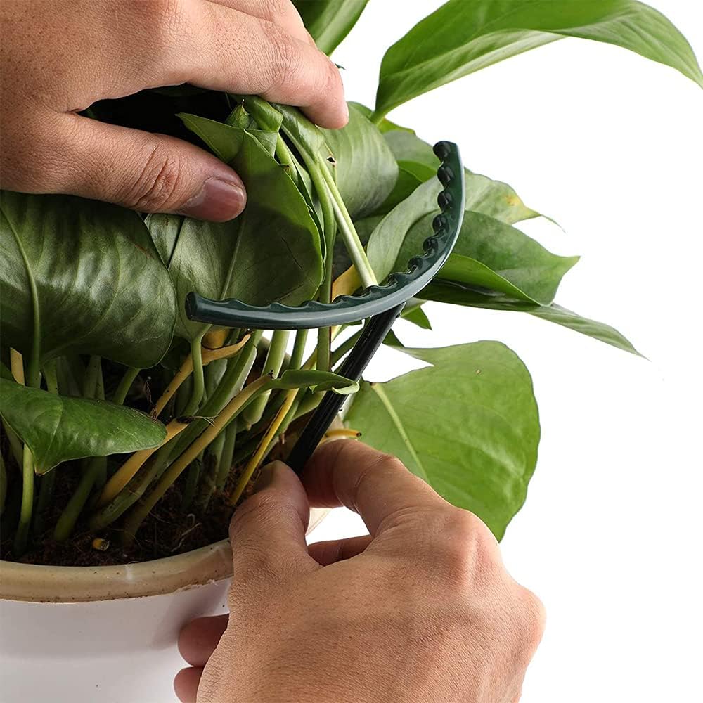 Support Grimpant pour Plantes - Support Robuste avec Design en Cage pour la Croissance et la Stabilité