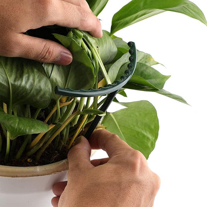 Support Grimpant pour Plantes - Support Robuste avec Design en Cage pour la Croissance et la Stabilité