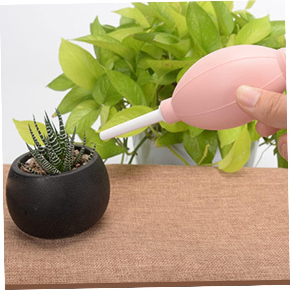 Set Combiné D' Outils pour Planter les Plantes Succulentes - Set Pratique pour L' Entretien et la Plantation