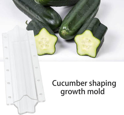 Moule en Étoile pour Concombre - Moule Créatif pour Fruits et Légumes
