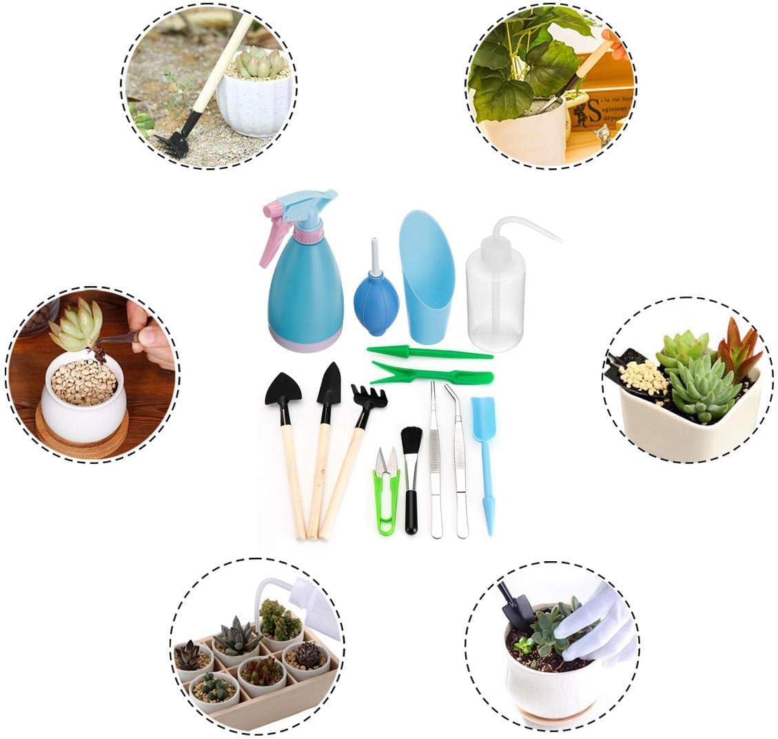 Kit D' Outils pour le Jardin de Succulentes avec Vaporisateur et Accessoires