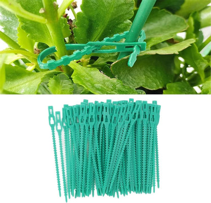 Set De Colliers De Fixation Pour Plantes Pour Une Fixation Stable Des Plantes