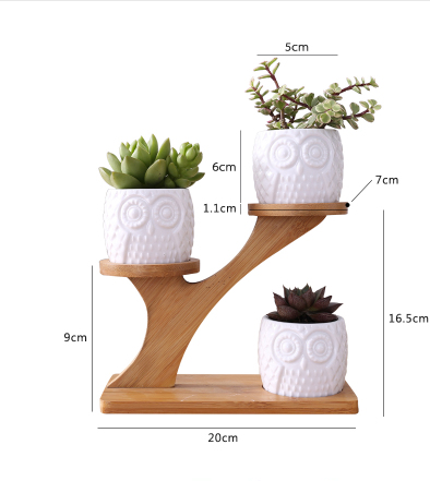 Porte-plantes Décoratif en Bois - Pots à Plantes au Design de Hibou pour Succulentes et Plantes D' Intérieur
