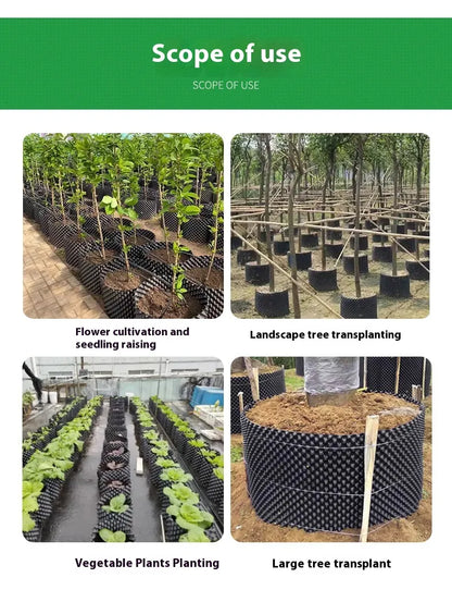 Contrôleur de Racines pour les Plantes et L' Aménagement Paysager pour Favoriser une Croissance Saine