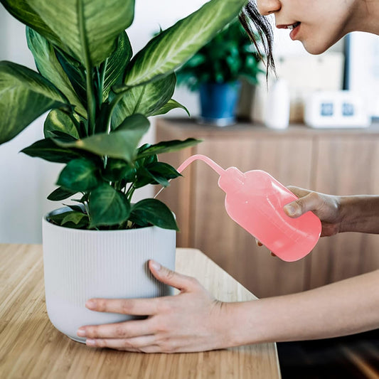 Bouteille D' Arrosage Spot Squeeze de 500 Ml - Bouteille D' Arrosage Compacte pour un Arrosage et un Dosage Précis