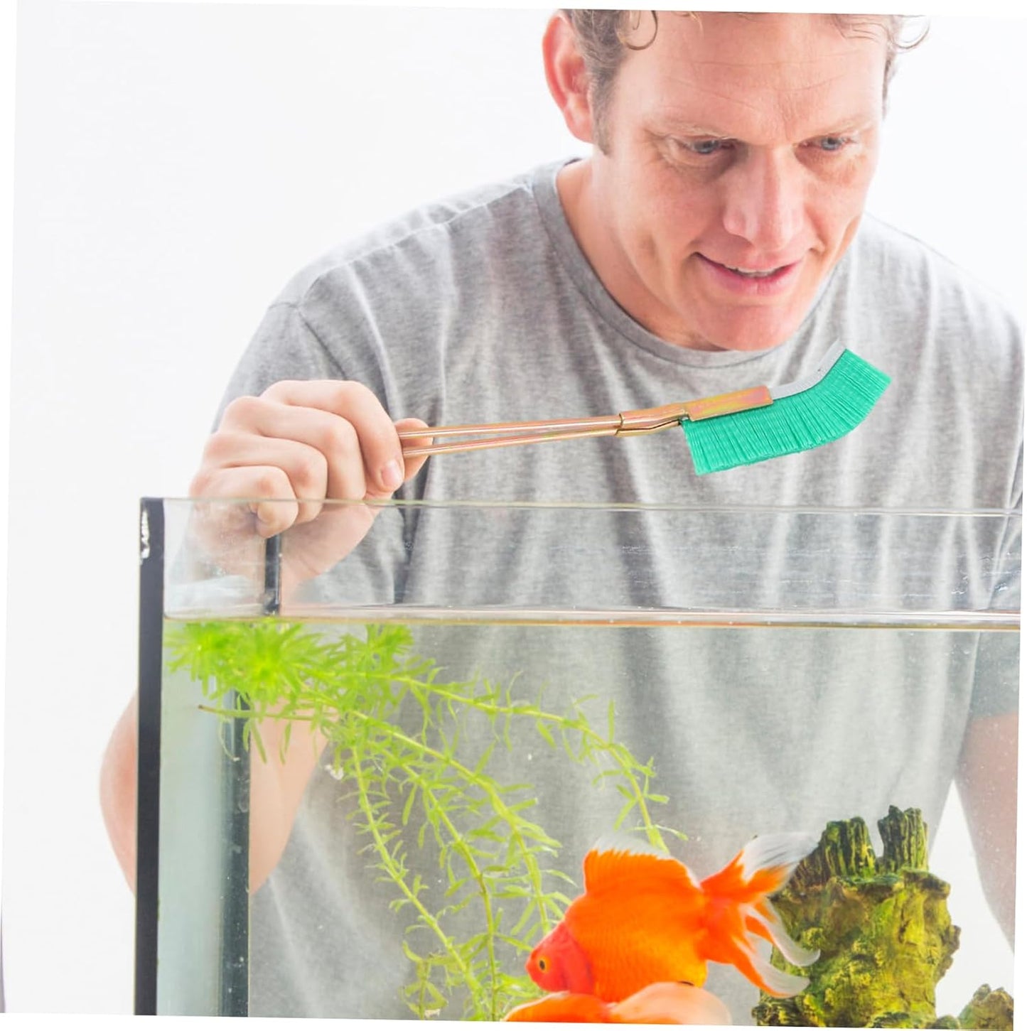 Brosse En Nylon Pour Le Nettoyage Du Tronc Des Bonsaïs - Outil De Jardinage