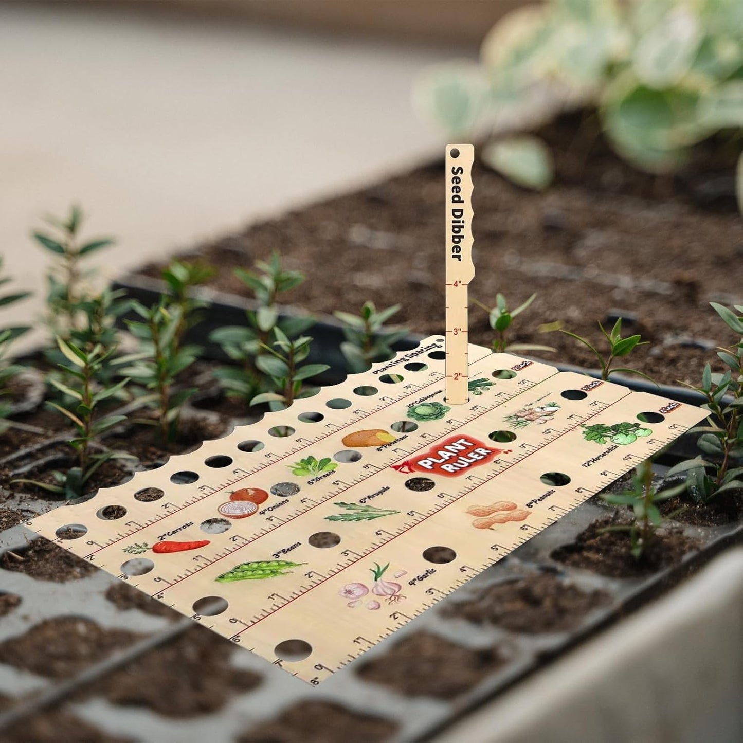 Règle de Plantation en Bois - Outil Multifonctionnel de Mesure des Graines pour le Jardin