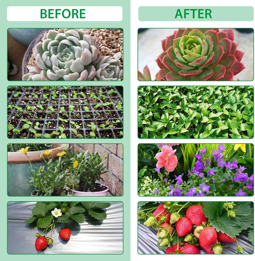 Lumière De Croissance Des Plantes Avec 4 Bras Flexibles Et Fonction De Gradation Pour Les Jardins D' Intérieur