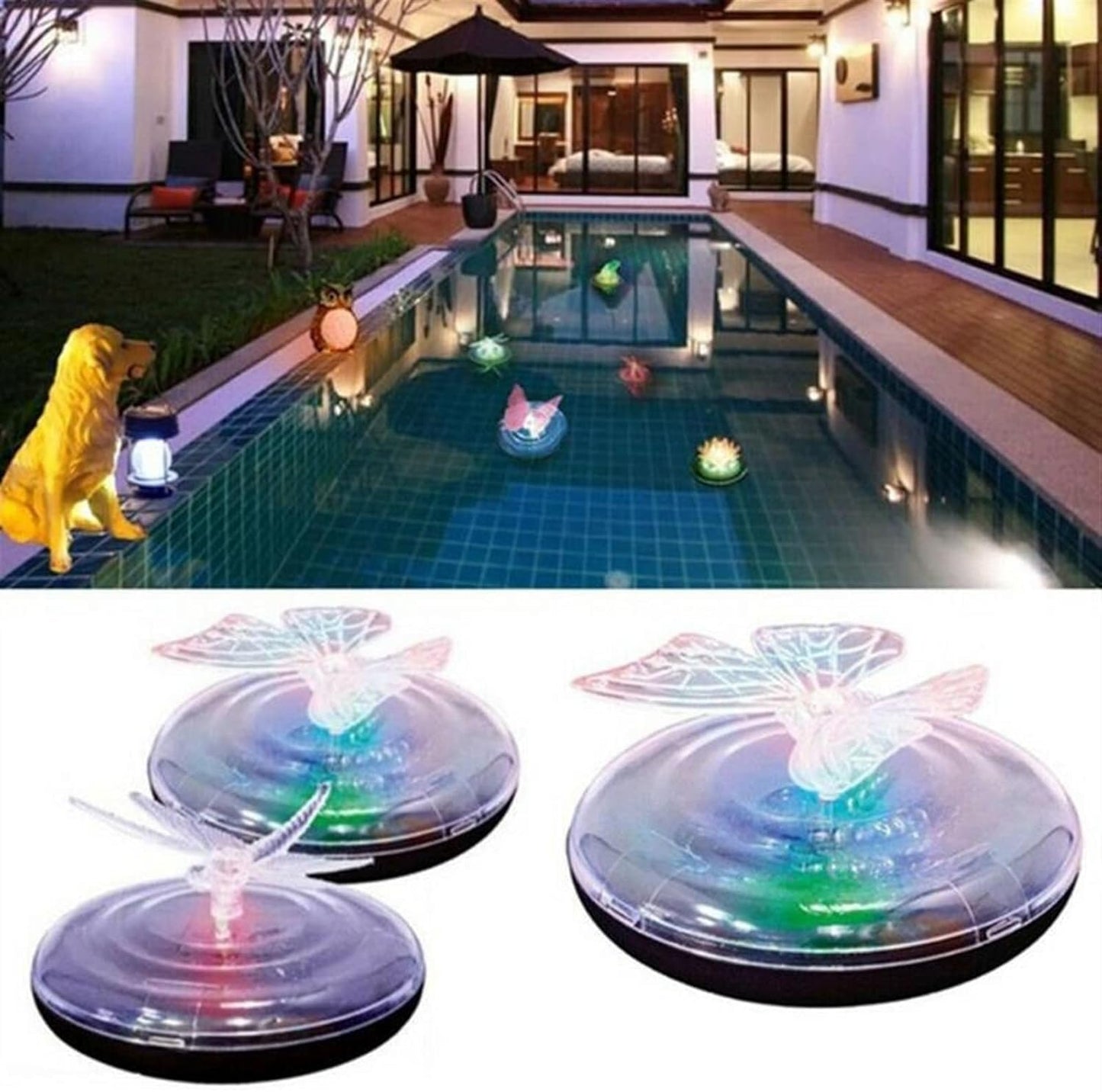 Décoration De Bassin À Énergie Solaire Papillon Et Libellule - Lumières Led Changeant De Couleur Pour Le Jardin Et Le Bassin