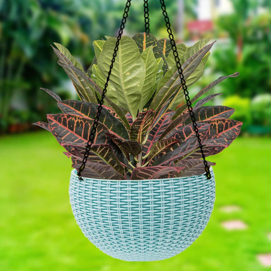 Panier Suspendu Tressé pour Plantes avec Chaîne - Idéal pour le Balcon et le Jardin