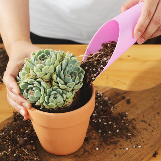 Pelle à Plantes en Plastique - Outil Pratique pour Déplacer et Fertiliser les Plantes