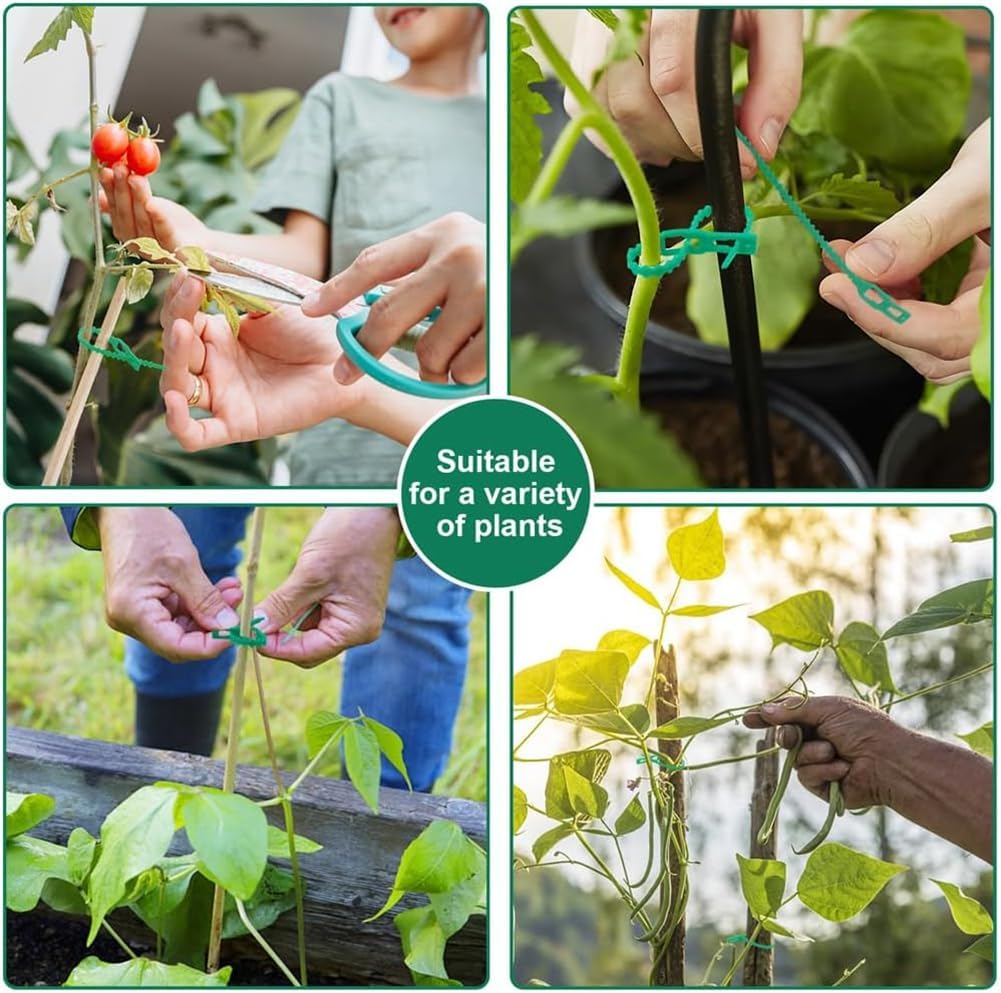 Set De Colliers De Fixation Pour Plantes Pour Une Fixation Stable Des Plantes