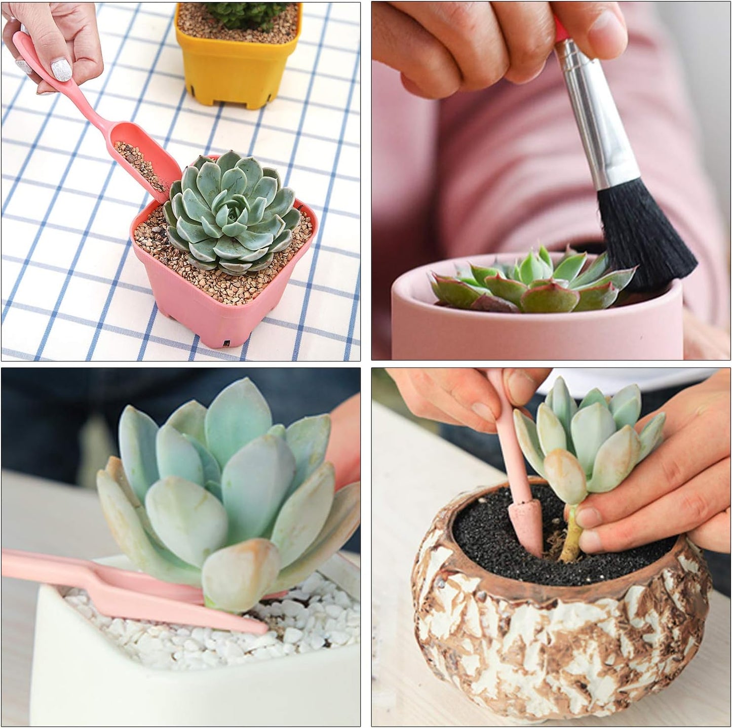 Set Combiné D' Outils pour Planter les Plantes Succulentes - Set Pratique pour L' Entretien et la Plantation