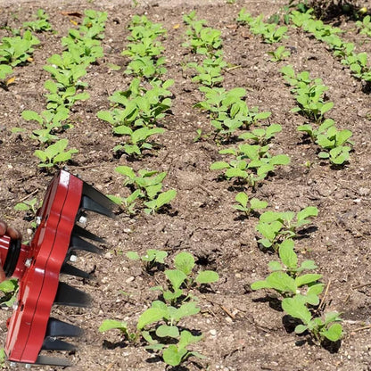 Tête De Désherbage - Outil Efficace Pour L' Entretien De La Pelouse Pour Enlever Les Mauvaises Herbes