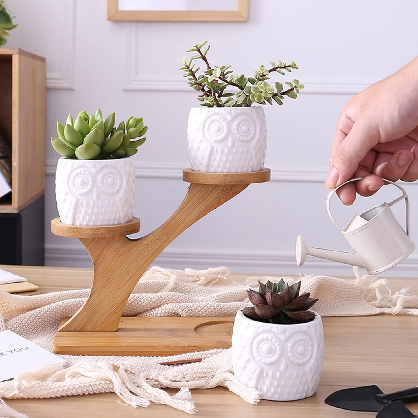 Porte-plantes Décoratif en Bois - Pots à Plantes au Design de Hibou pour Succulentes et Plantes D' Intérieur