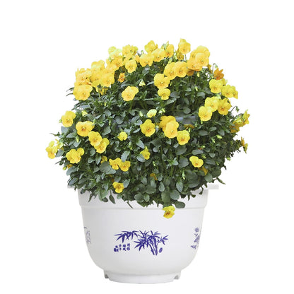 Pot De Fleurs En Plastique Avec Motif De Bambou - Pot De Plantes Élégant Pour Le Balcon Et Le Jardin
